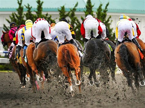 horse race cards tomorrow